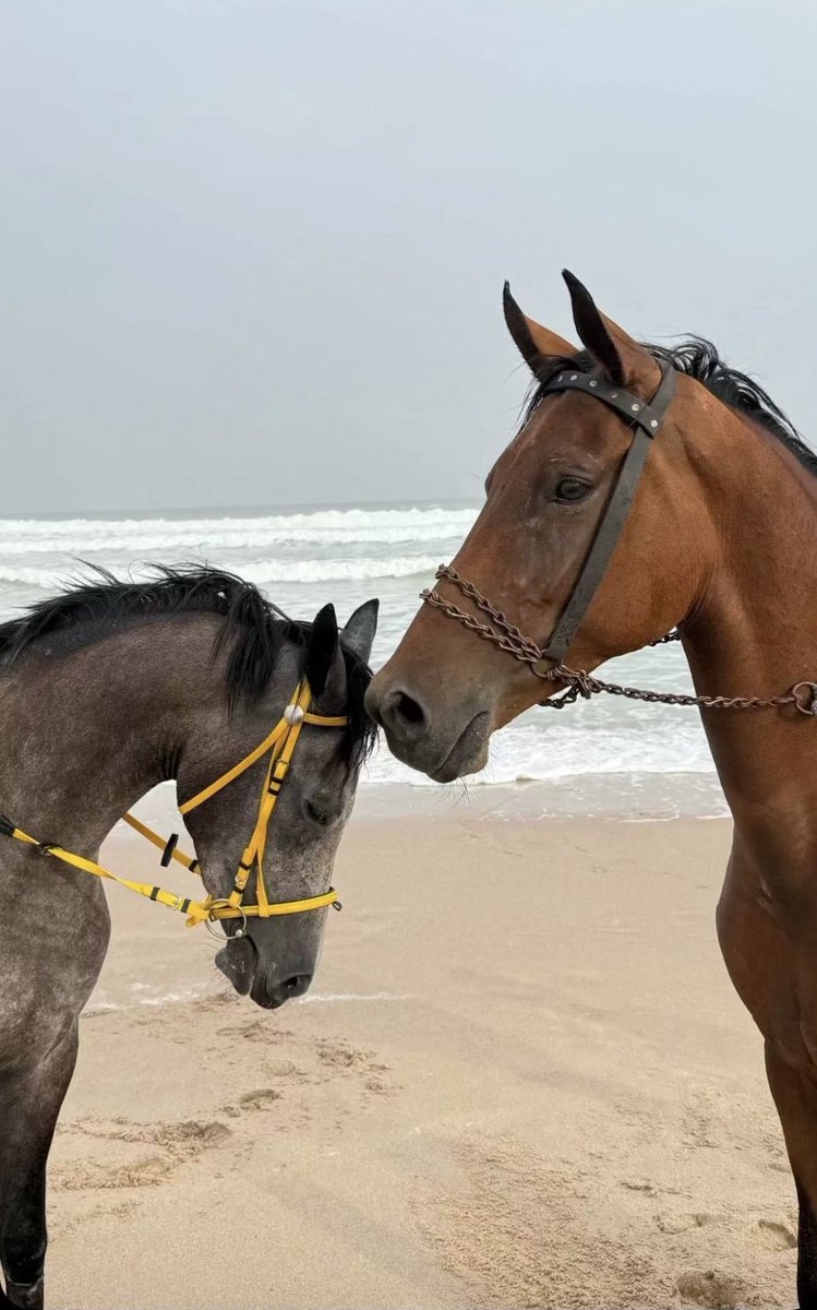 تُخلق المشاعر من أبسط أسباب اللطف…🍂