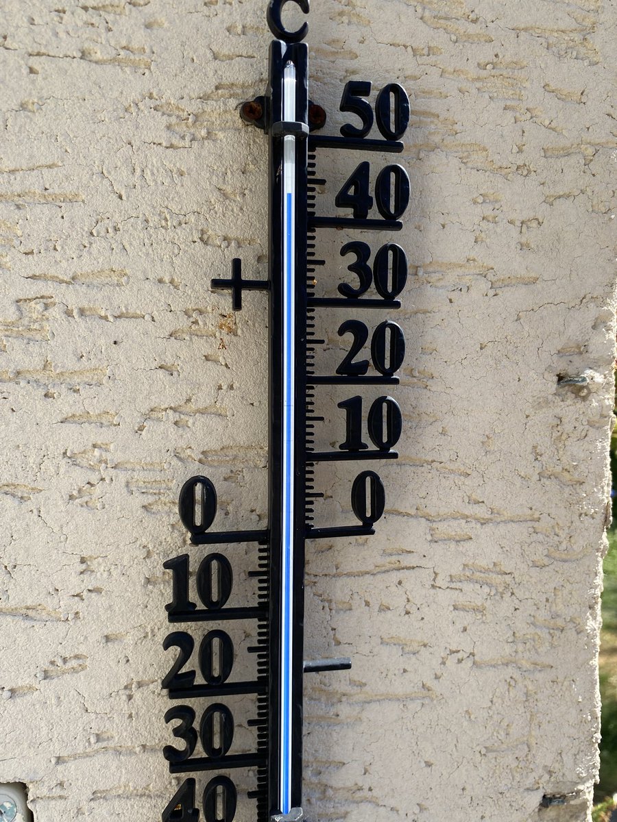 whosbellatho's tweet image. my yard is fully caged in by stone walls and has stone floors so now we have a chill 43 C in here #notokay