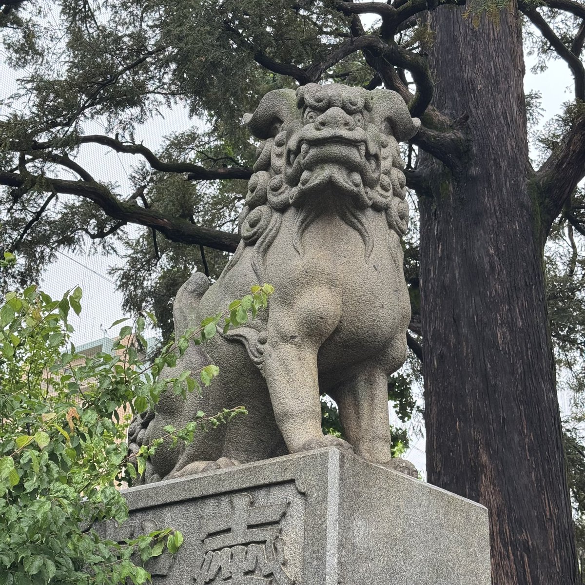 chieko_bonheur1's tweet photo. 下神明天祖神社さん。鯉のぼりのが可愛くて🎏このデザインはなかなか珍しかった☺️

なんとなく雨が降ったりやんだり。こちらにいた時は最初チラホラだけでした☔️
御朱印はちゃんと外でパチリ📸雨粒が付いた紅葉も素敵🍁

#東京御朱印 
#御朱印巡り 
#神社巡り https://t.co/hlr3ZM7RK0