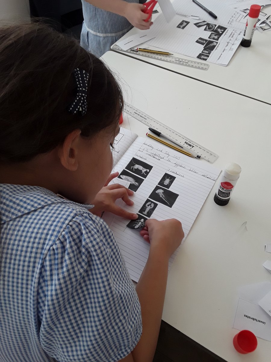In Science, Year 3 have been looking at the differences between vertebrates and invertebrates and sorting them into groups. #science #year3