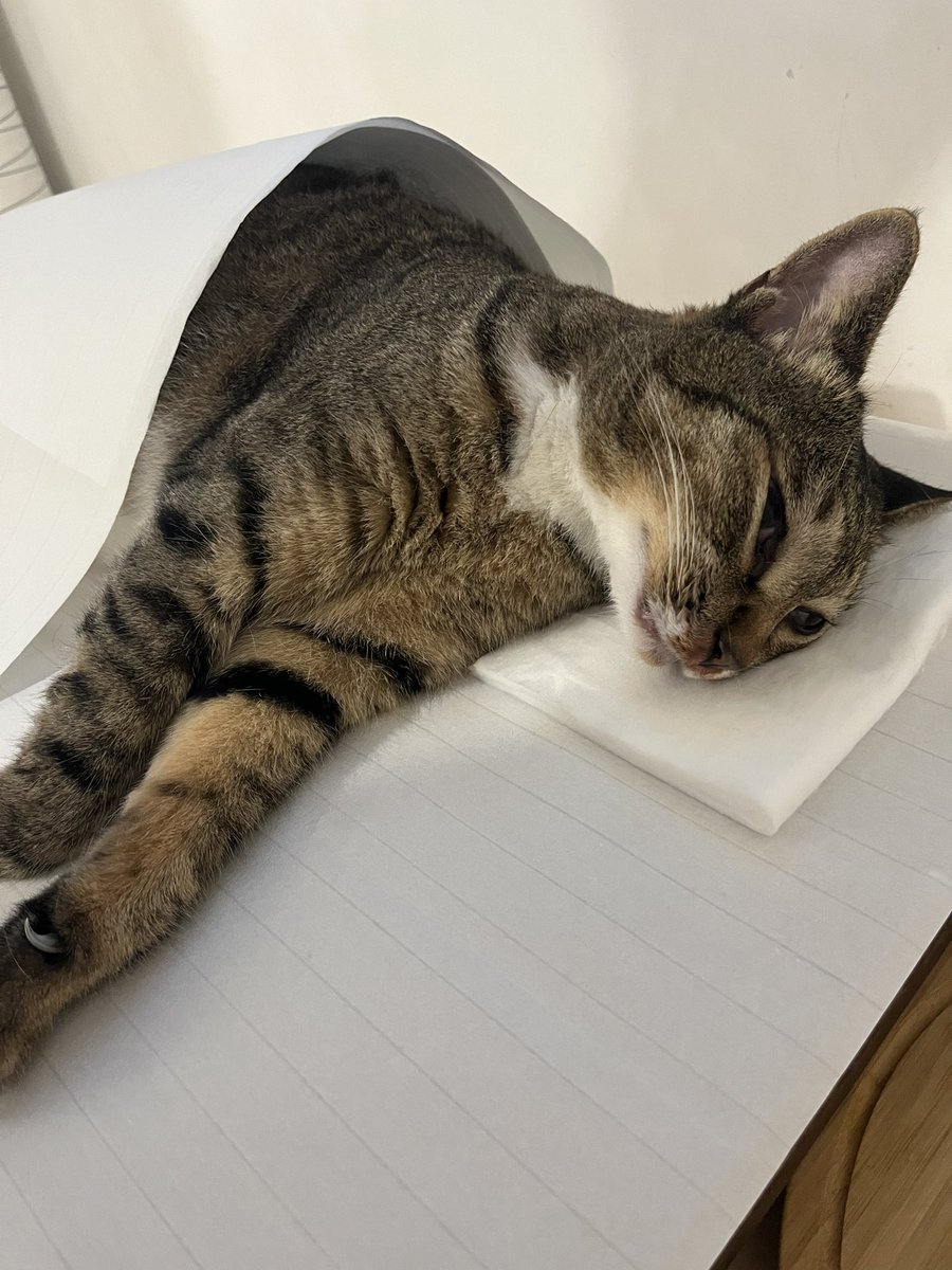 잘 보내주겠습니다 에단아 잘가