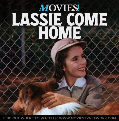 Know who this starlet is?
Sunday at 2:40pm ET | 11:40am PT.