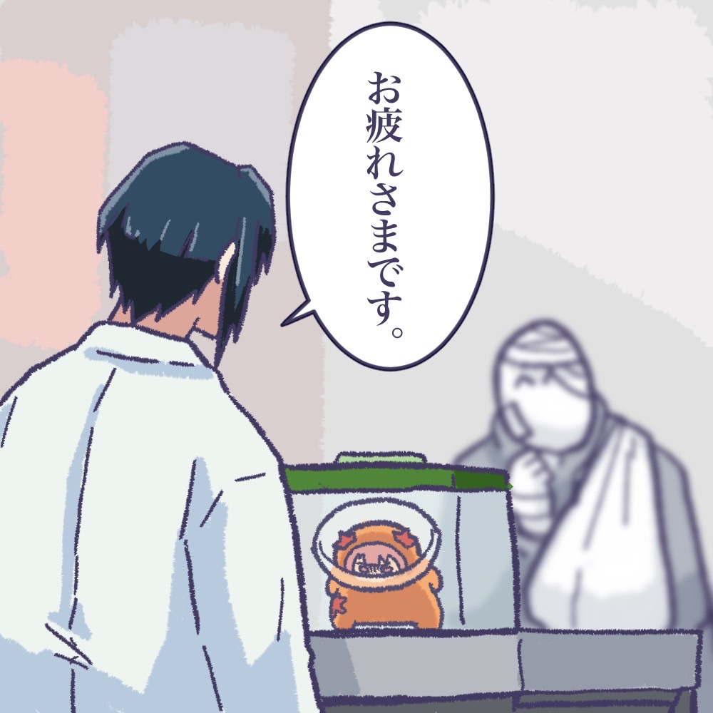 natukanaiyo0303's tweet photo. https://t.co/ZAwznzFoKU