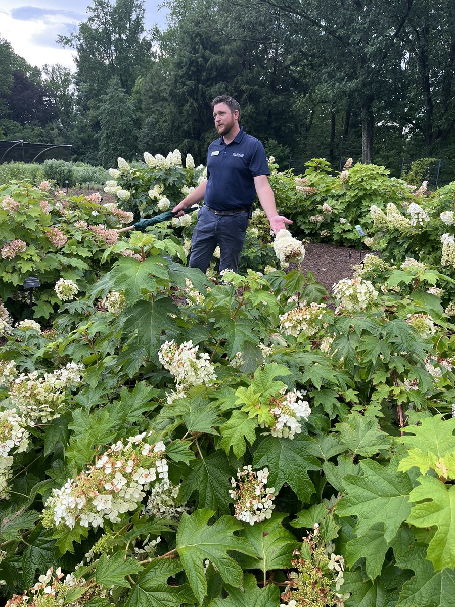 Washington Gardener tweet media