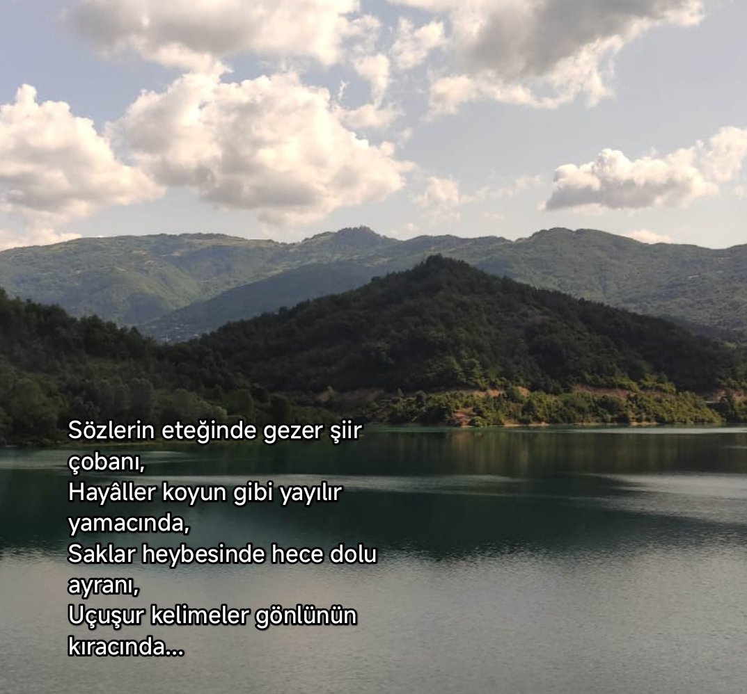 Tahsin Sağlam (@tahsinsaglam) on Twitter photo 