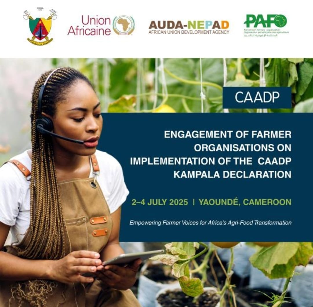 Kefilwe Rhoba MOALOSI (@fifiesto) on Twitter photo 