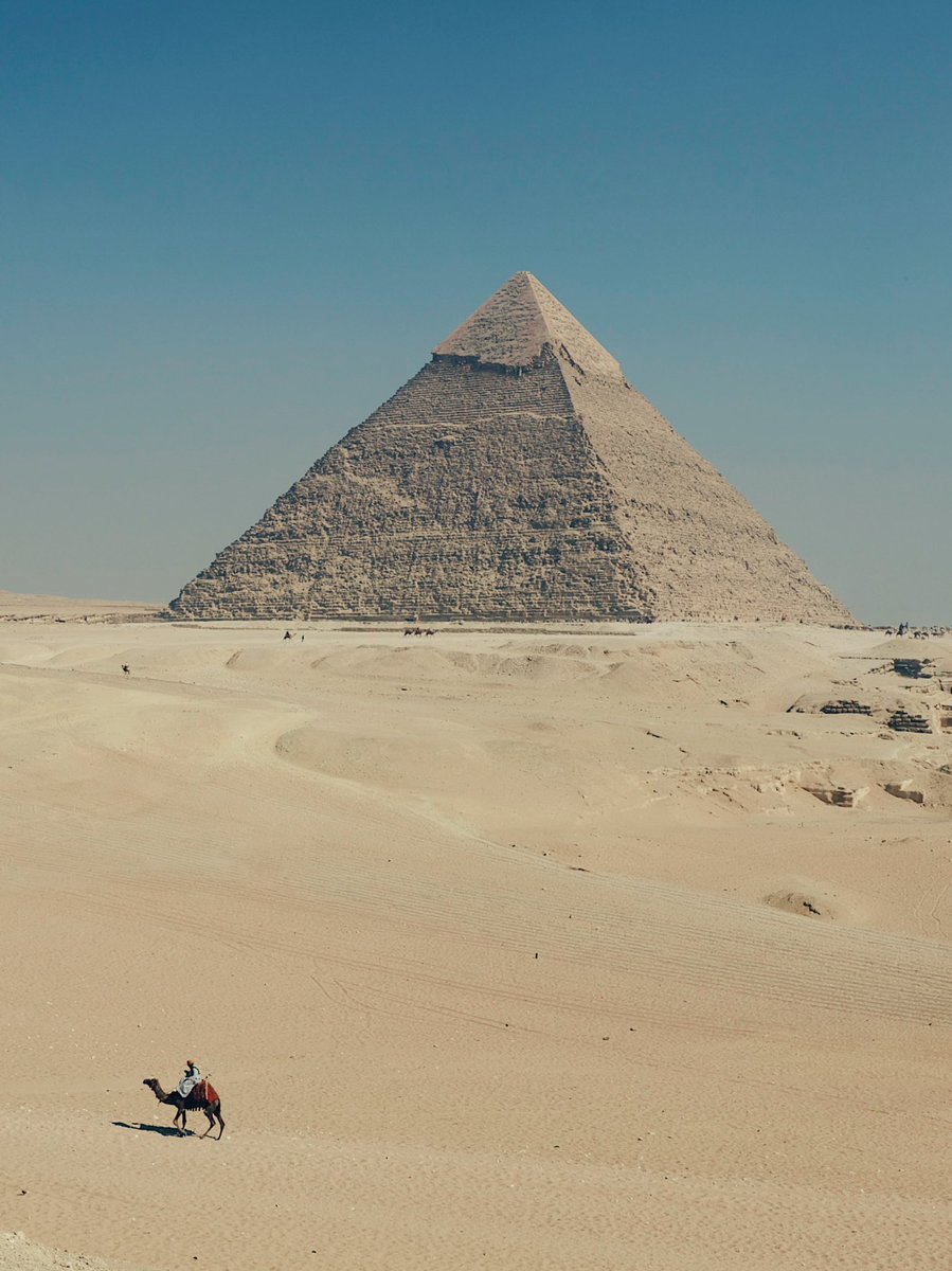 Natsuho Yamanaka tweet media