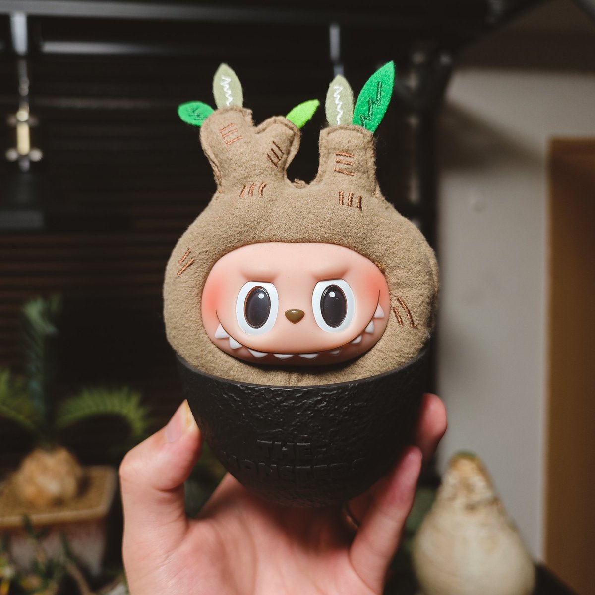 ラブブのグラキリス
