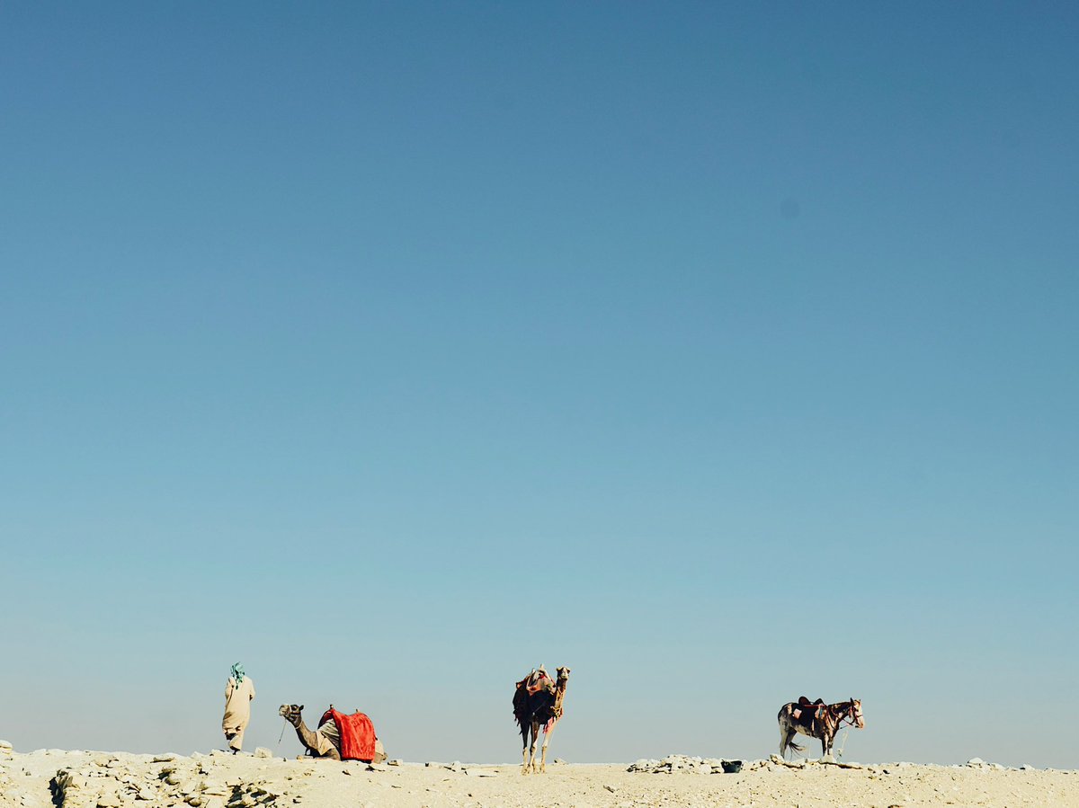 Natsuho Yamanaka tweet media