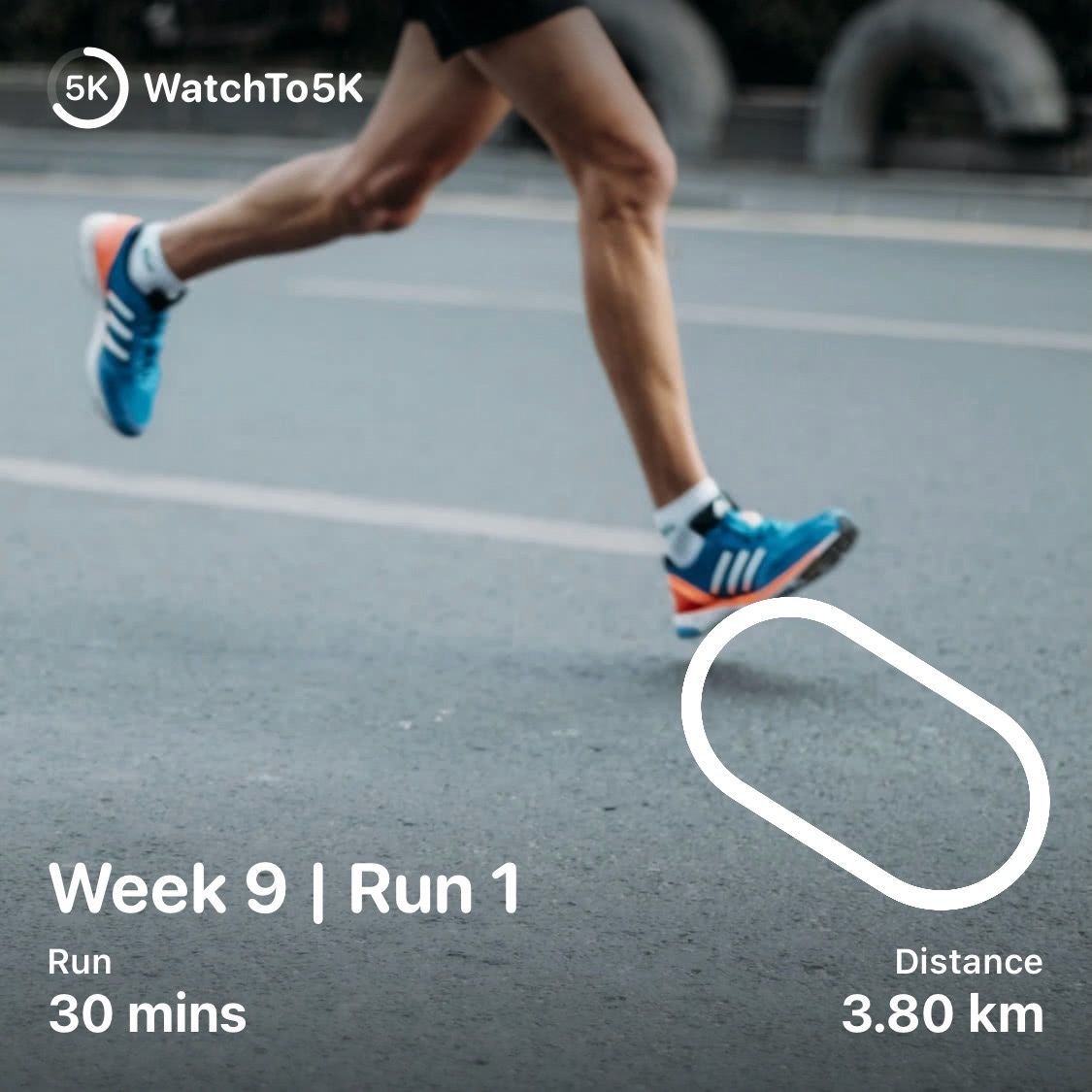 Angelo Stavrow tweet media