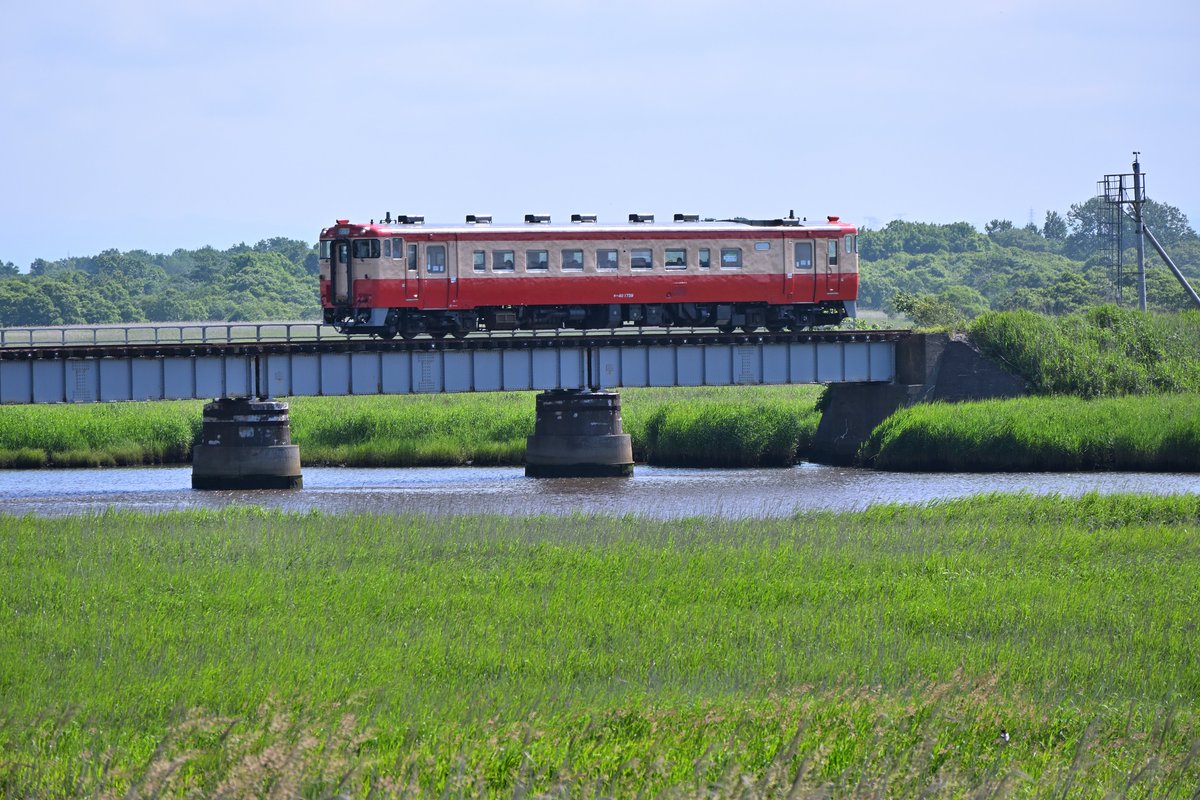 ヌㇷ゚カナイ (@nupkanay) / Posts / X