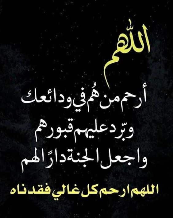 محمد الشمري tweet media