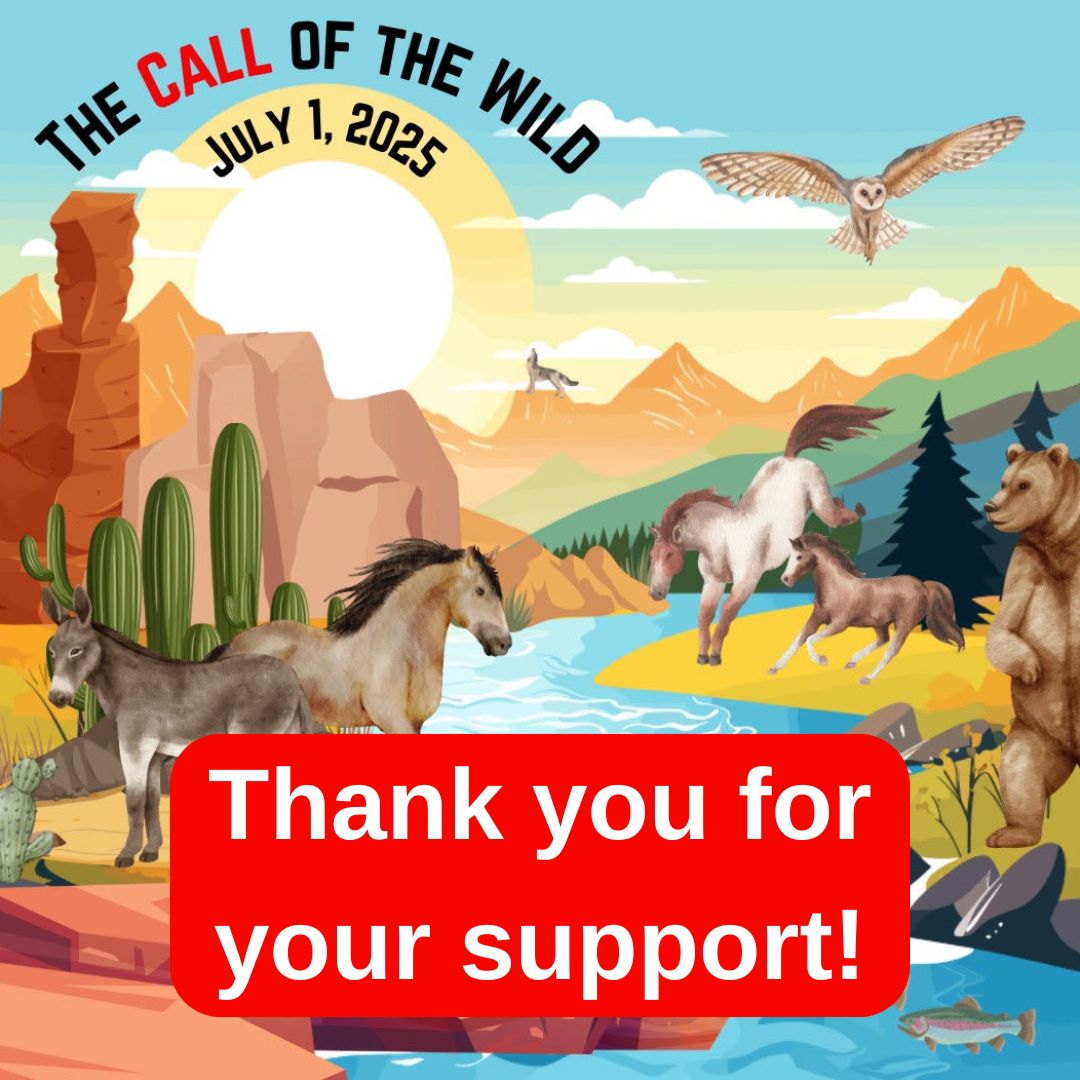 Thank you for making your voices heard 📱 ‼️

Our Wild Equines and Public Lands still need our help, though. Please keep calling your members of Congress and get the message across, “Hands Off Our Wildlife! Hands Off Our Public Lands!”

Take Action: equineadvocates.org/call-of-the-wi…