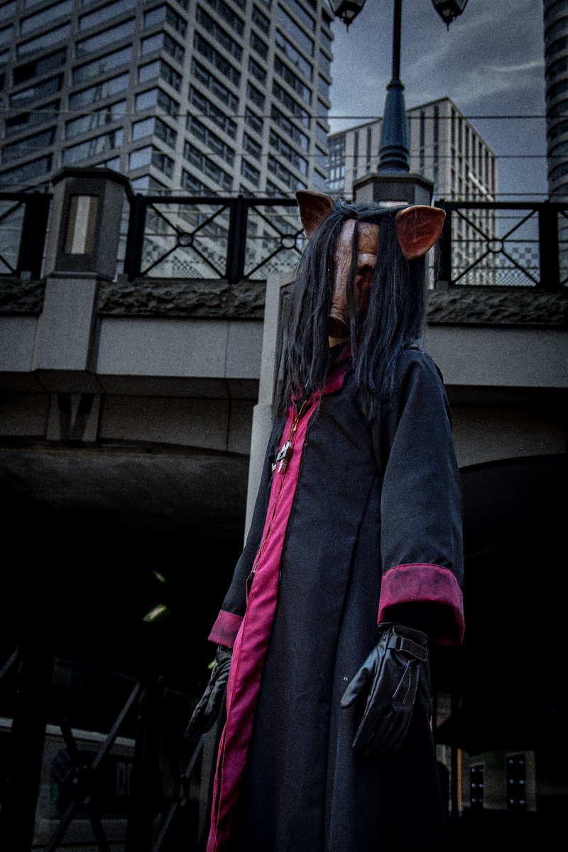 じぐそ〜（千葉ジグソウ）/Jiggy tweet media