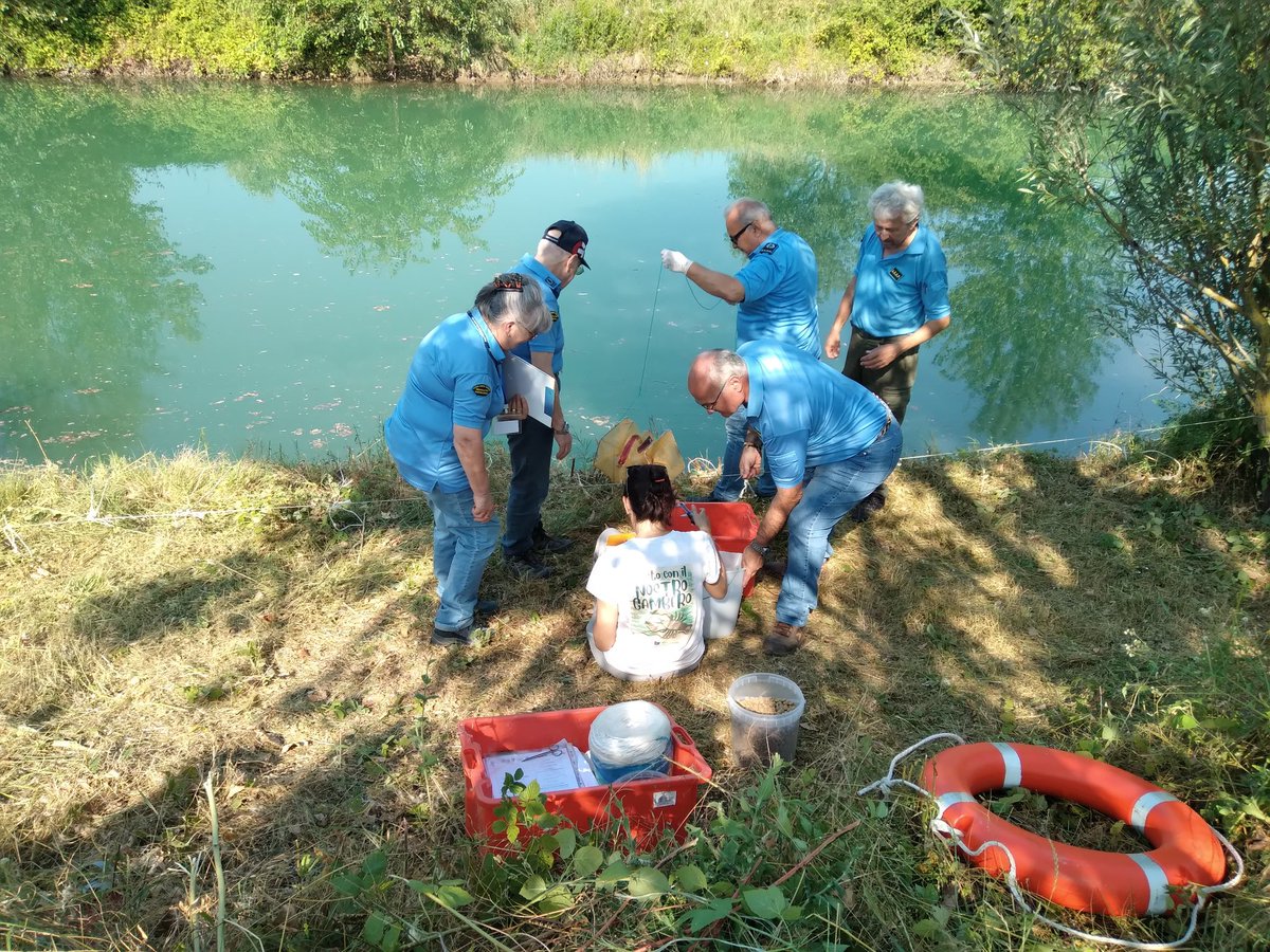 lifeclaw's tweet photo. È iniziata la sessione 2025 di contrasto alle specie di gambero alloctono invasive al fine di limitare la loro diffusione.
Ad essere coinvolti sono i volontari appartenenti alle associazioni piscatorie piacentine e parmensi coordinate dal Consorzio di Bonifica di Piacenza. https://t.co/QM0SwGUxZ1