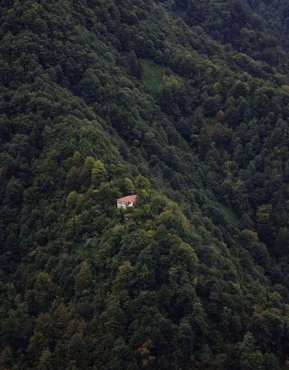 فاصله مد نظرم از آدما :