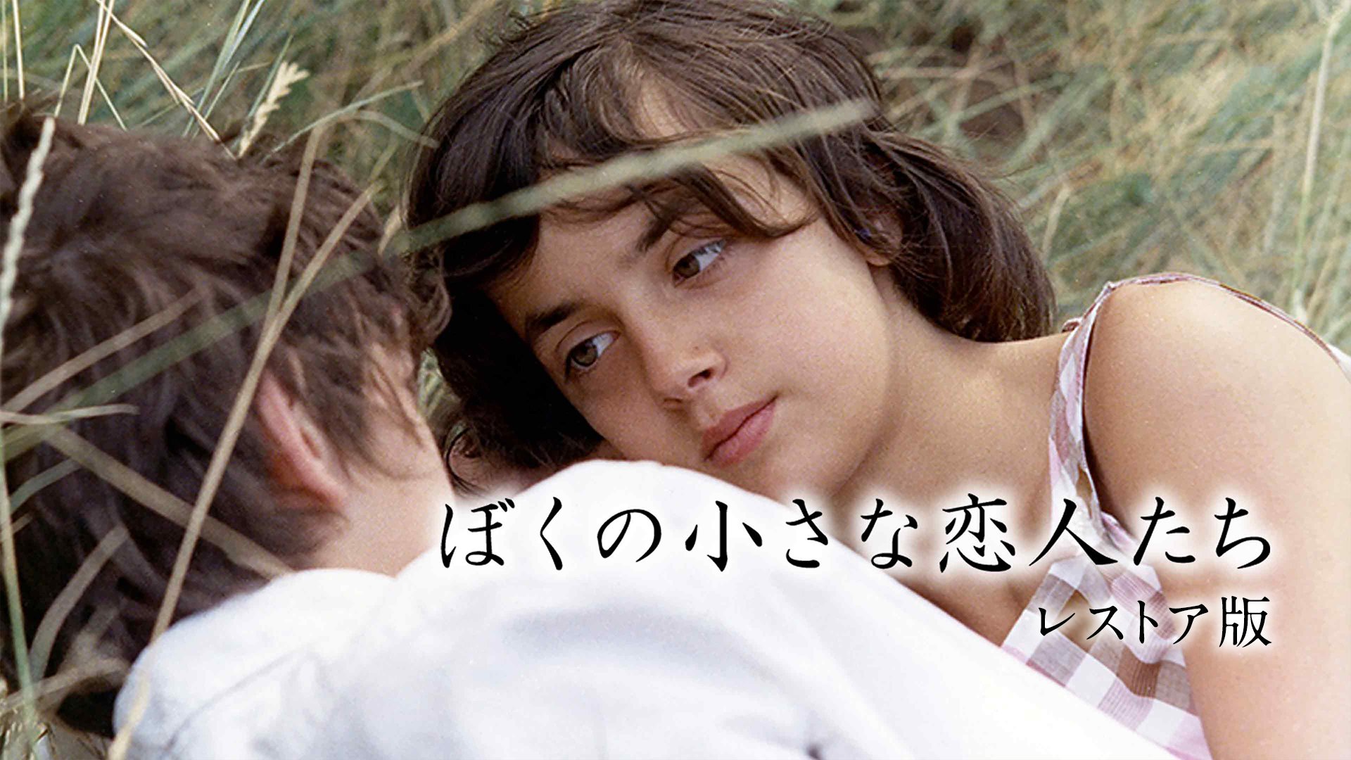 評伝ジャン・ユスターシュ 映画は人生のように Amazon.co.jp: 評伝ジャン・ユスターシュ: 映画は人生のように