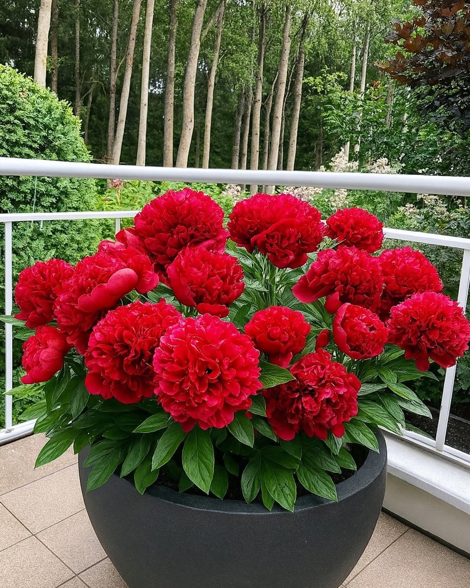 🦚My Green Zone🦚 (@brainnpower) on Twitter photo 