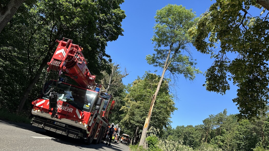 Technische Hilfeleistung in Heiligensee dlvr.it/TLh39F