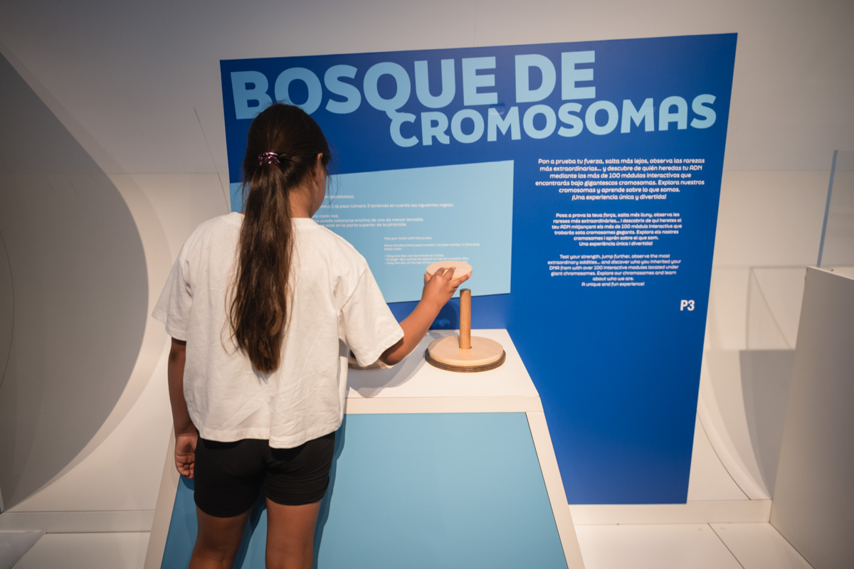 Tocar un "holograma", jugar con  electricidad, ver uno de los diseños de Leonardo o adivinar qué esconde un "teatro táctil"

La muestra 'Nos gusta conciencyarte' es un aperitivo de lo que te espera en el interior del #MuseudelesCiències

#AccesoLibre

ℹ️ cac.es/noticia/exposi…