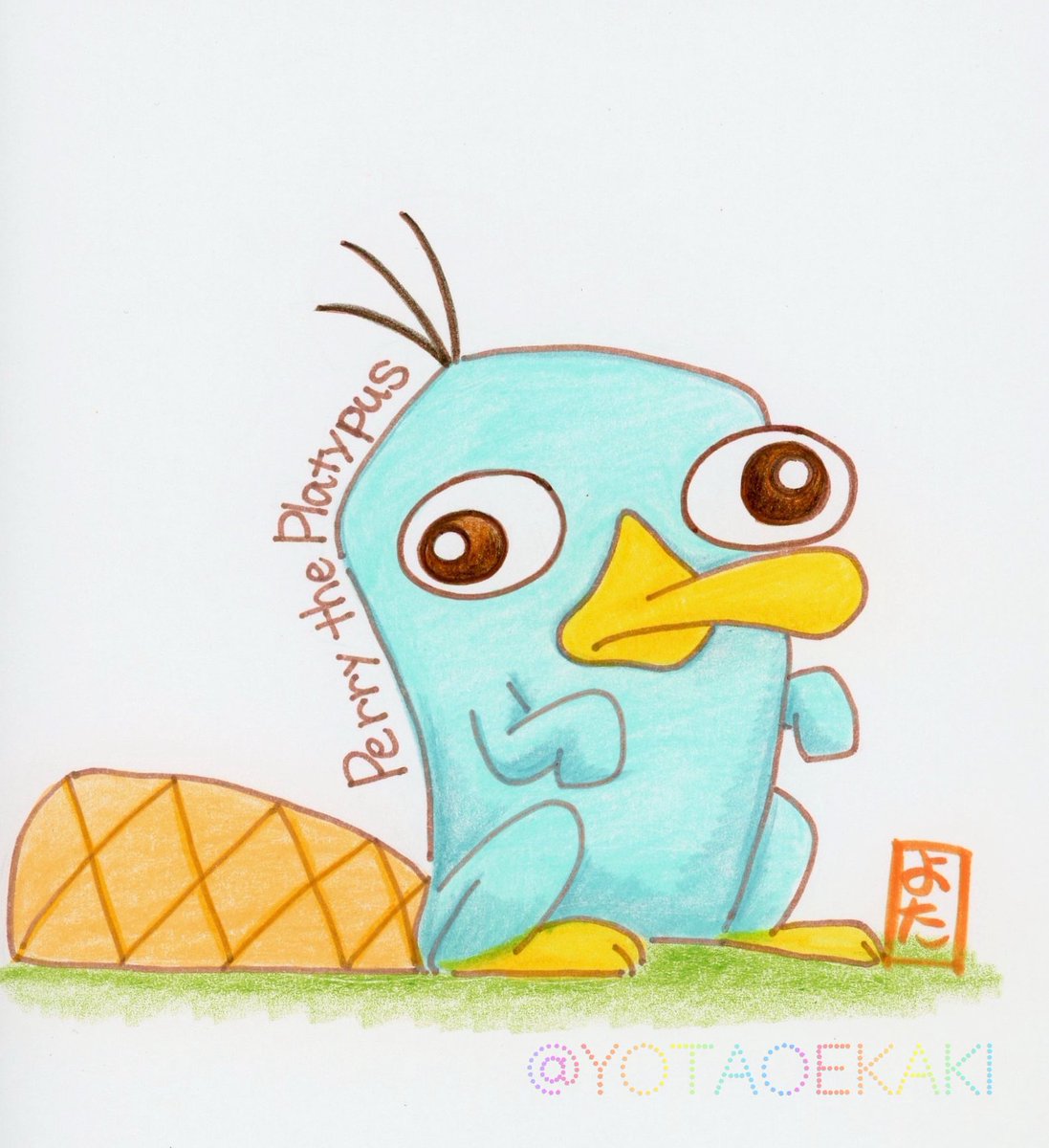 カモノハシペリーご確認用