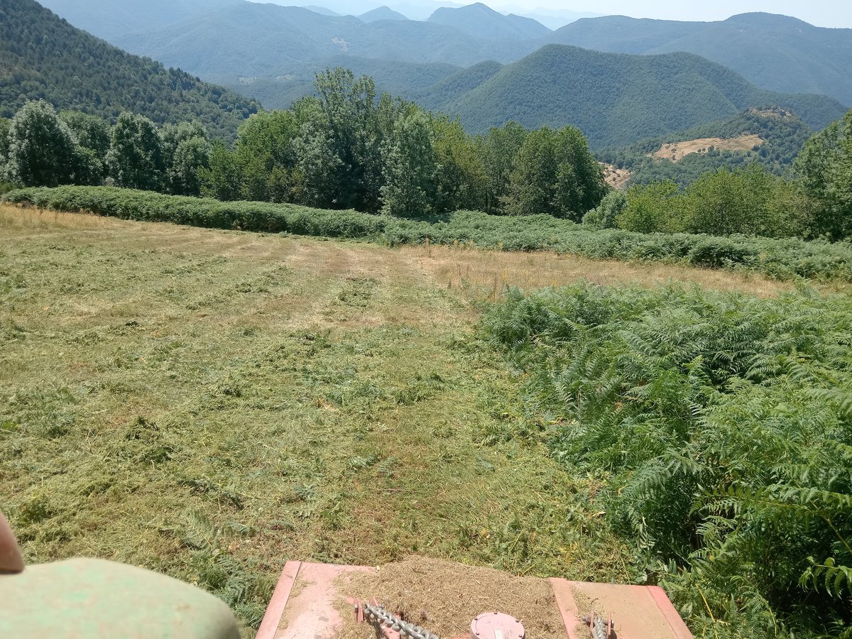 La mare puta que va parir els rostos, les pendents i tot plegat!
#EstrésRuralot
#EsportsDaventuraRuralots
#Estassar
#GestióPastures
#SomPagesiaActiva 🚜💪