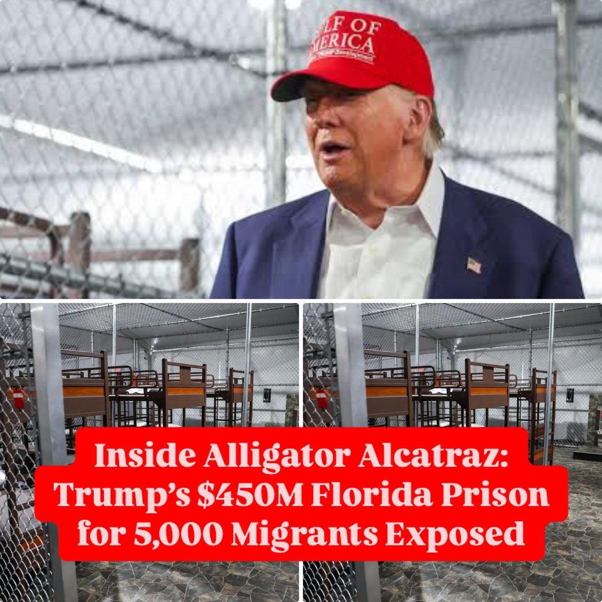 qubesmagazine's tweet image. Alligator Patrols Detention Camp!
Florida’s Alcatraz-like migrant center shocks netizens with wild guard tactics.
#MigrationCrisis #FloridaNews #Alligator #HumanRights #July2025 #Anoma
Read more: QubesMagazine bit.ly/3YHHl0a