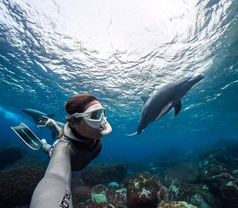 Photo of the Day
プロたちとの水中セッション🐬
#GoProファミリー Sumire Kamiyaさんが #GoProHERO13 Black でとらえた、沖縄での特別な出会い。

#GoProテク：現行のGoProはすべて、本体だけで防水対応。ハウジングなしで、そのまま水中へ 🤿
GoPro.com/HERO13