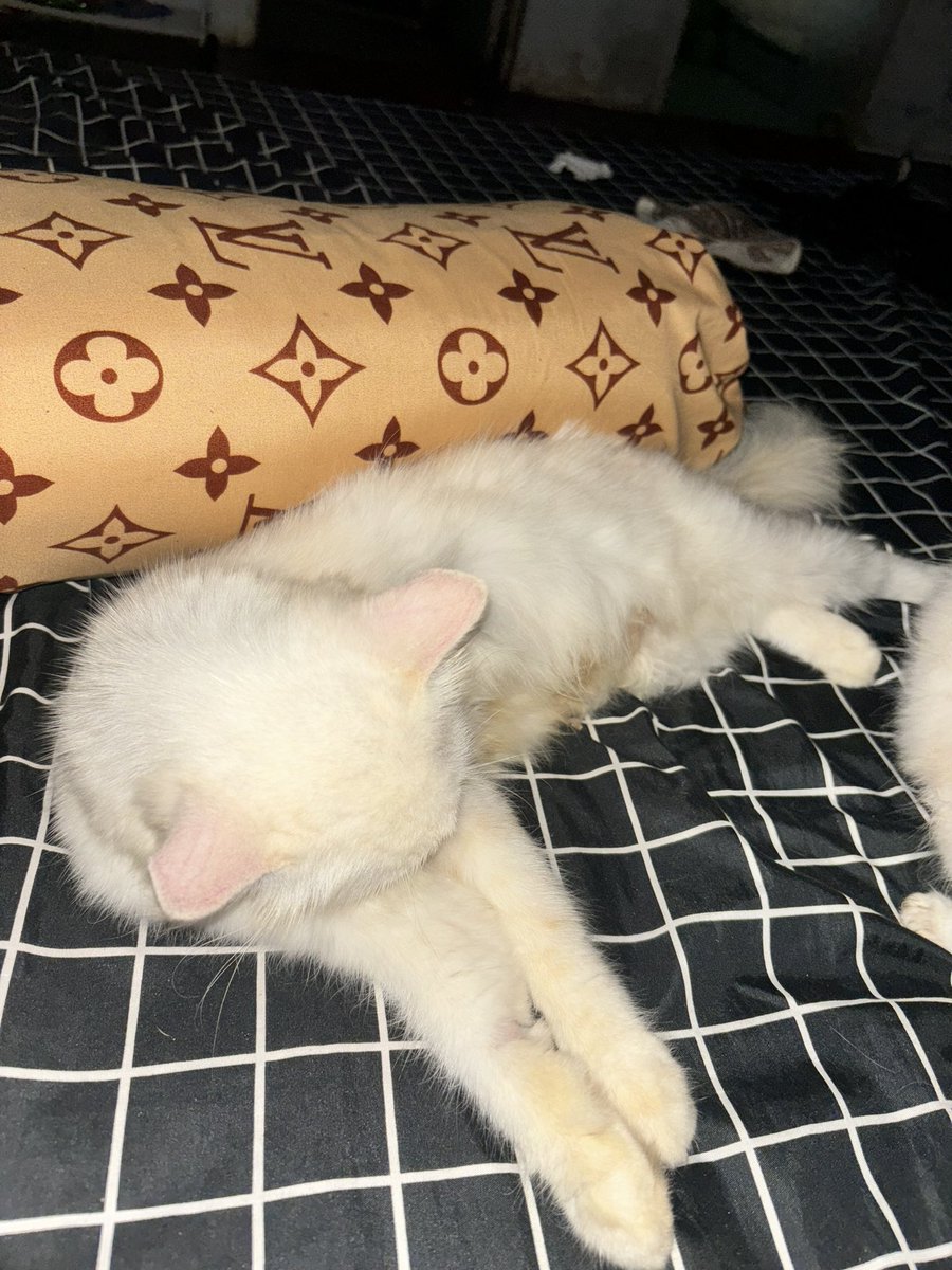 ya Allah terimakasih😇 doi sudah pulih🤲🏻😇