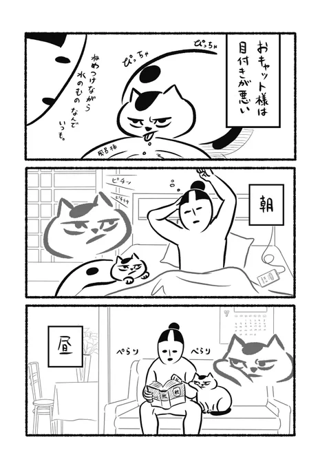 君の視線に恋してる
#おキャット様と御猫様 