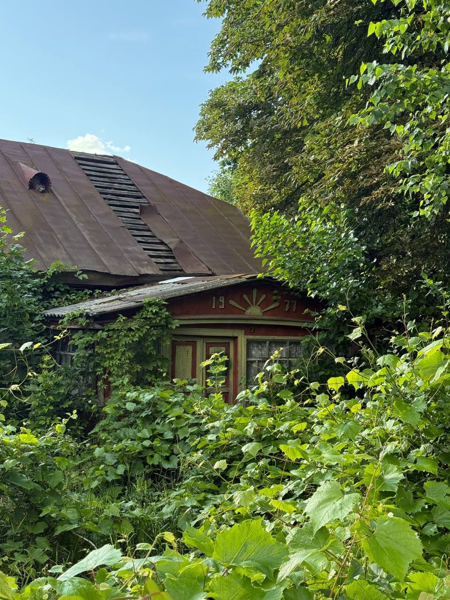 пан шаміль tweet media