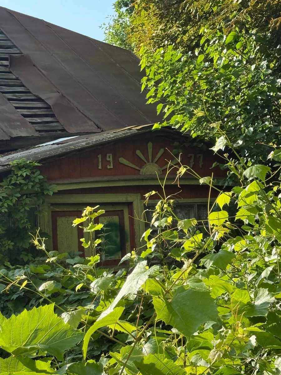 пан шаміль tweet media