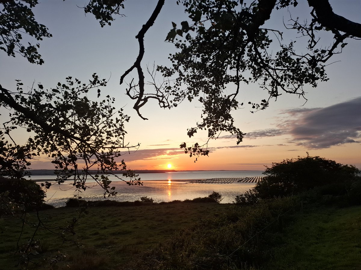 ClancyGallery's tweet image. This morning's sunrise from @ClancyGallery in An Rinn
@VisitDungarvan @GaeltachtDeise @VisitWaterford @ancienteast_IRL @Failte_Ireland #contemporaryIrishArt #TiparmMusicPublishing #Seaswimmers #CoastalWalks #Lovelybeaches #seafishing