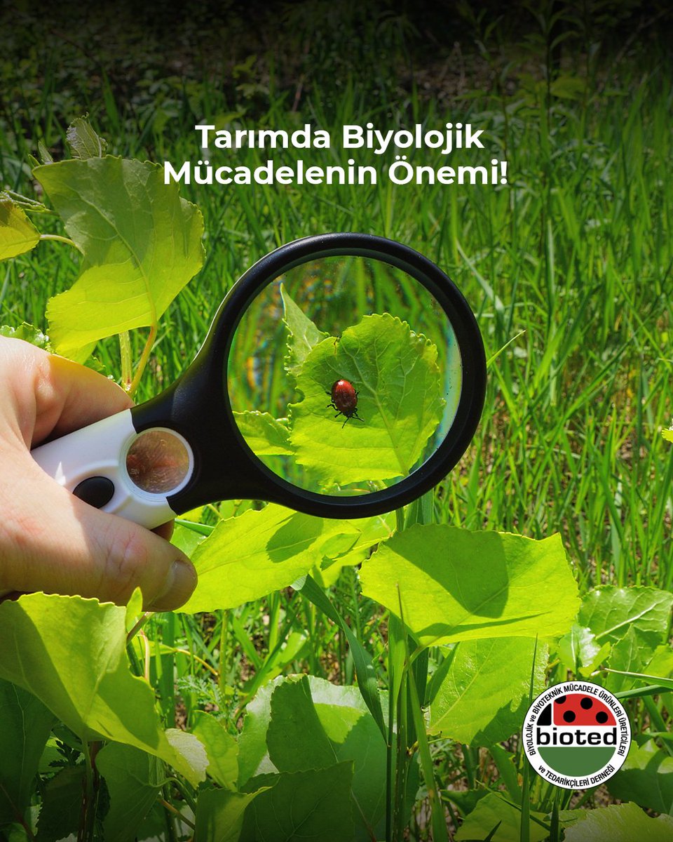 BiotedTr's tweet photo. Biyolojik mücadele, tarımda zararlı organizmalarla çevreye zarar vermeden başa çıkmanın en doğal yoludur. Biyolojik mücadele, doğanın kendi dengesini kullanarak zararlıların kontrol altına alınmasını sağlar. https://t.co/wfSsZ0c7gu