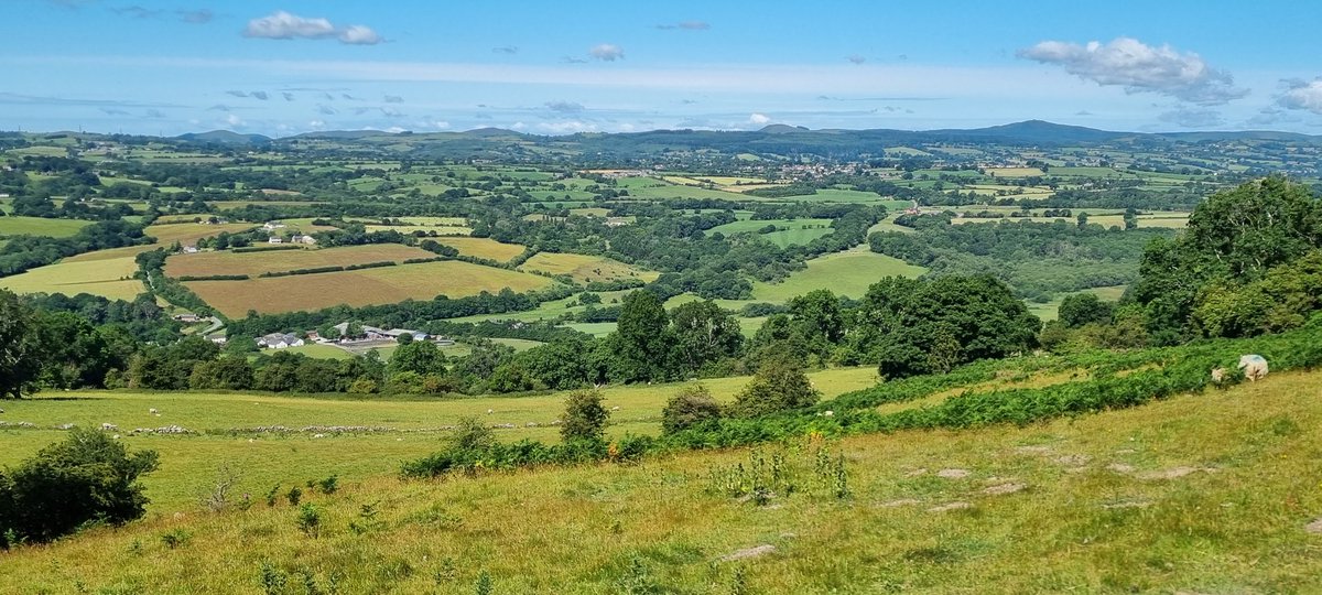 90Edwards's tweet image. Hope Mountian.