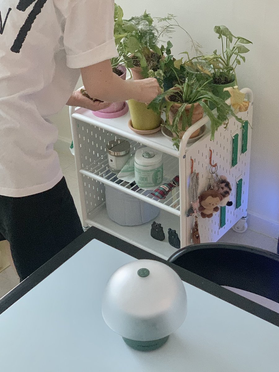 이케아에 타공판 트롤리 있는 거 저만 몰랐나요

거실 싹 치우고 식물을 바닥에만 둘 순 없어서 
이케아 가서 찾아봤는데 
양 옆에 타공판 같은 부분이라 
키링, 차 키, 티비 리모콘 등 끼워둘 수 있고 

세 칸이라 거실에 두고 쓰는 물건 주기도 좋아요 🪽
그리고 바퀴도 있어서 식물 물 줄때도 짱