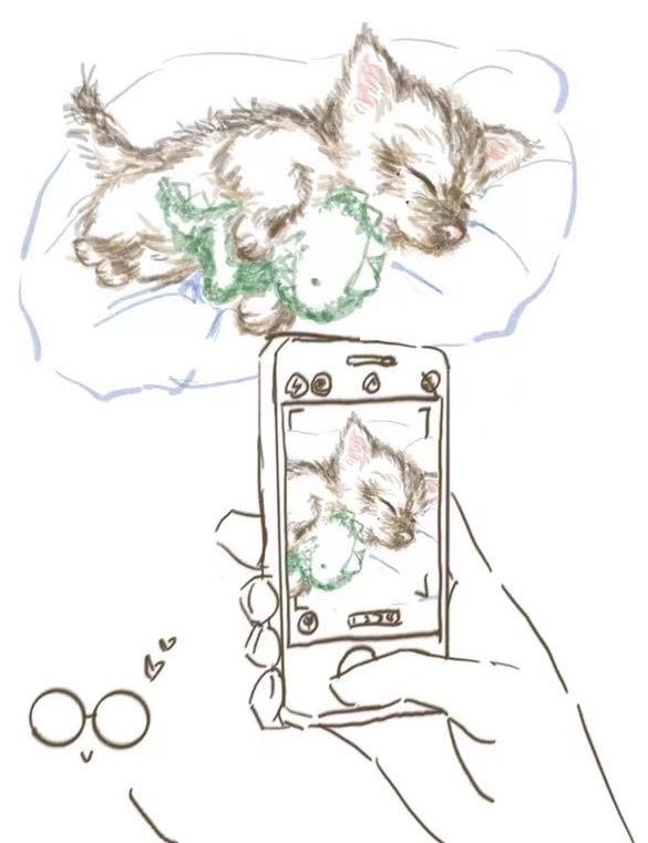 JbeforeHope's tweet image. 6:小狗勾～
                                                   13:是狼

#원찬