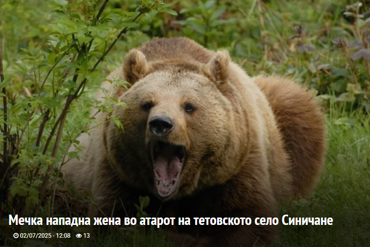 1KRealDeal's tweet photo. #NotAllBears...
Мечка нападна жена во атарот на тетовското село Синичане https://t.co/RGJ057zK36 https://t.co/IMOrXydJhk