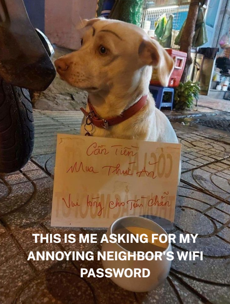 nvmas_'s tweet photo. ๐ถ This is me...When I ask for my neighbor's WiโFi password
๐ Not to watch YouTube
๐ But to contribute to a new quantum project called @Quantinium_fdn
โก๏ธ @quantumwifi โ Need GPU? There's a community. Need network? You can ask for it๐
#Quantinium #QuantumAI #Web3 #DEPIN https://t.co/qlTaQ9HoEv