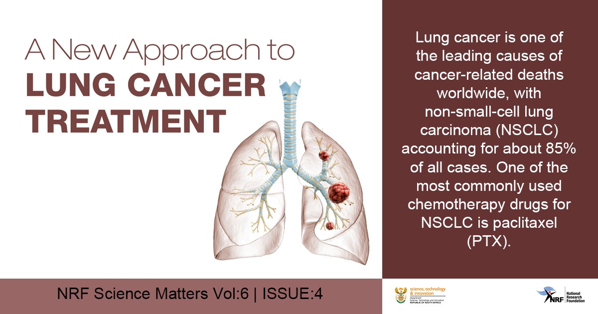 NRF_News's tweet image. #NRFScienceMatters | A research study funded by the NRF has developed a new nanocarrier system, using mesoporous polydopamine nano-bowls, to deliver paclitaxel (PTX) directly to cancer cells.

Full article here: nrf.ac.za/science-matter…
