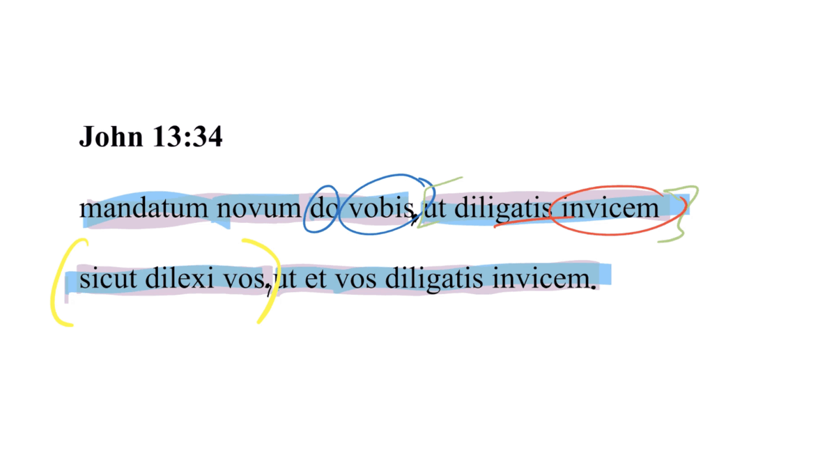 Today's Latin Vulgate Video: John 13:34 Latin Vulgate ow.ly/perc106exm3