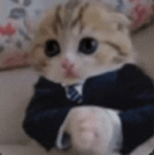 shadowdance tweet media