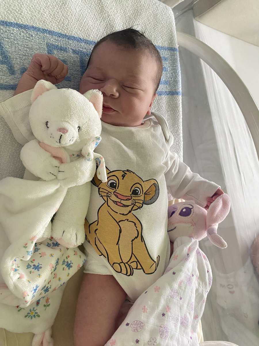 Après 9 mois de préparation intensive,
notre chef-d’œuvre est enfin là !
Athéna a pointé le bout de son nez le 29juin à 18h28 avec ses 4kg05 .
Nuit blanche, couches et câlins au programme !