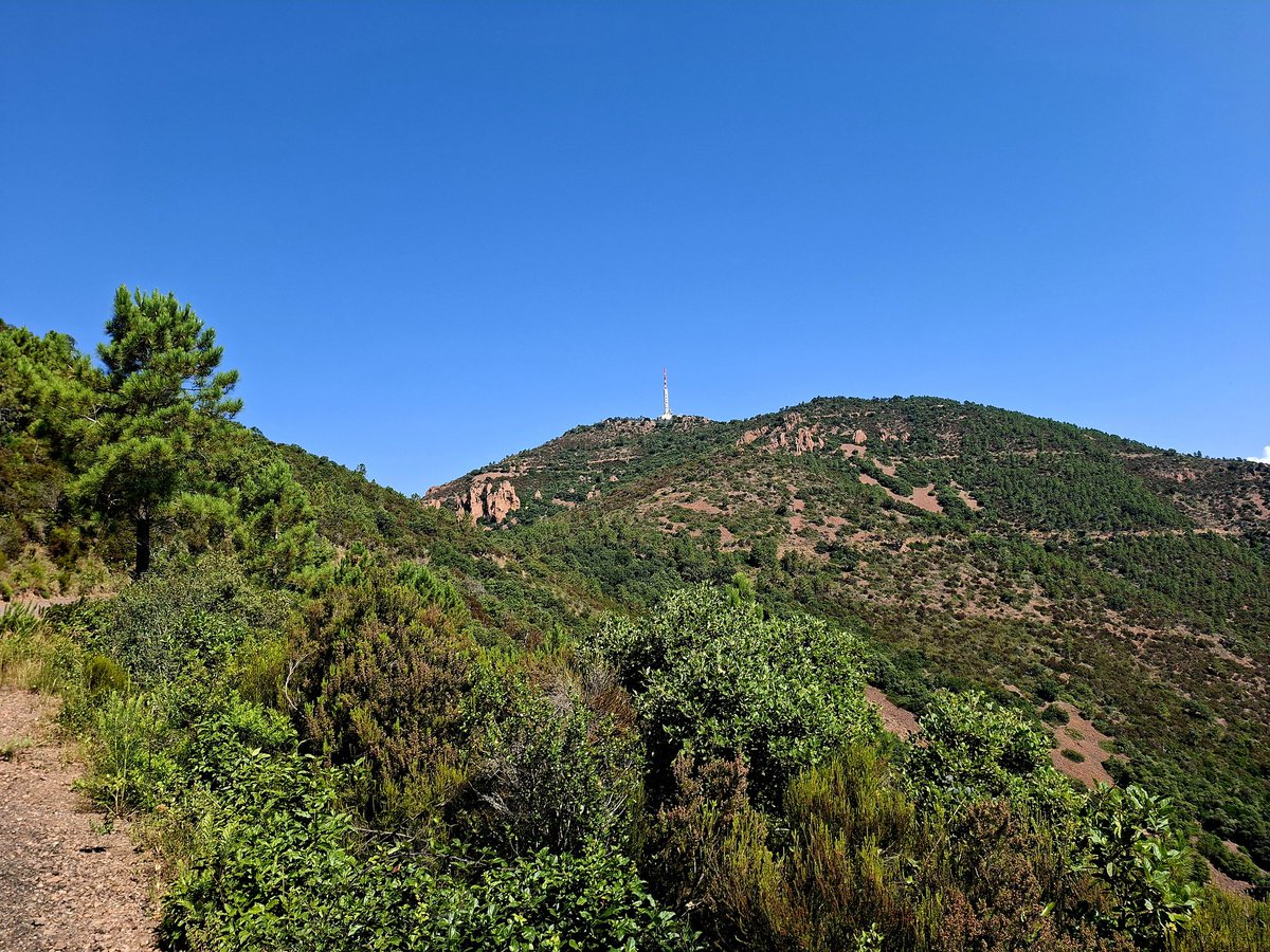 Auch heute wieder unterwegs, aber wir mussten spontan umplanen, zu heiß und schwül für weiteren Aufstieg! Es ist echt krass. 🫣