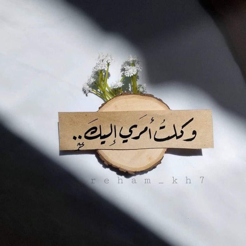 Aida_1994A's tweet photo. لا نريد واسطة، نريد عدالة.
لا نطلب صدقة، بل حقنا في التوظيف
😔😭

#رفض_تعيين_الحاسوب2 
@EduGovOman 
@Labour_OMA
 #رفض_تعيين_الحاسوب2 https://t.co/TjkLGkAVSo