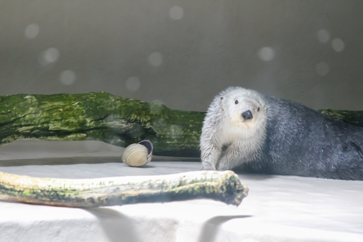 ℳ❀ (@z3_uy) / Posts / X