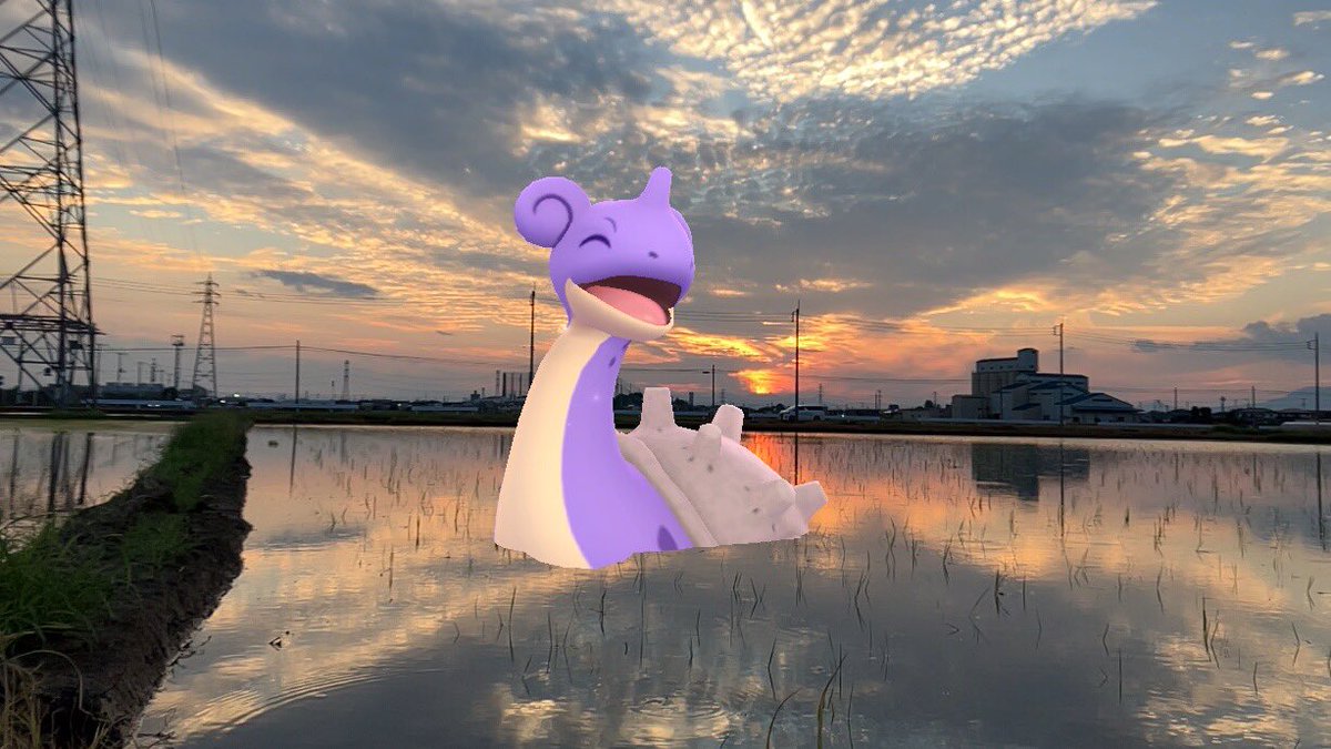 『💜たそがれラプラス🌅』

#ARofTheDay #WildARWednesday
#GOsnapshot  #GOsnapshotCelebration 
#ポケモンGO #PokémonGO
#NOフィルターNO加工
#わたしの推しポケAR←オフ
#ラプラス　#Lapras