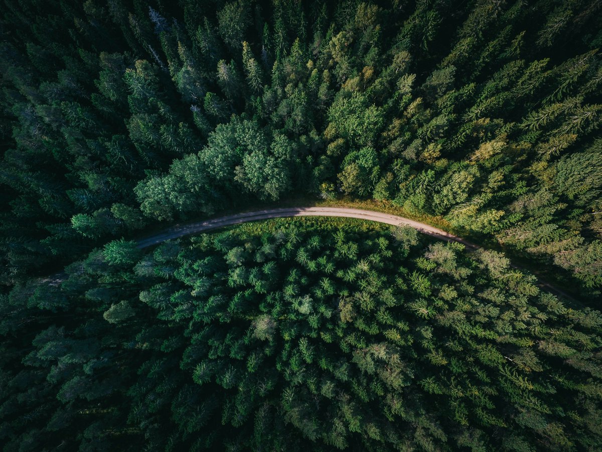 Did you know that accounting firms are key players in the ESG game? From guiding businesses on sustainability goals to helping track and report on their impact, accountants are the ones leading the charge toward a more responsible future! 🌱

Dive in here: hubs.li/Q03sS_KC0