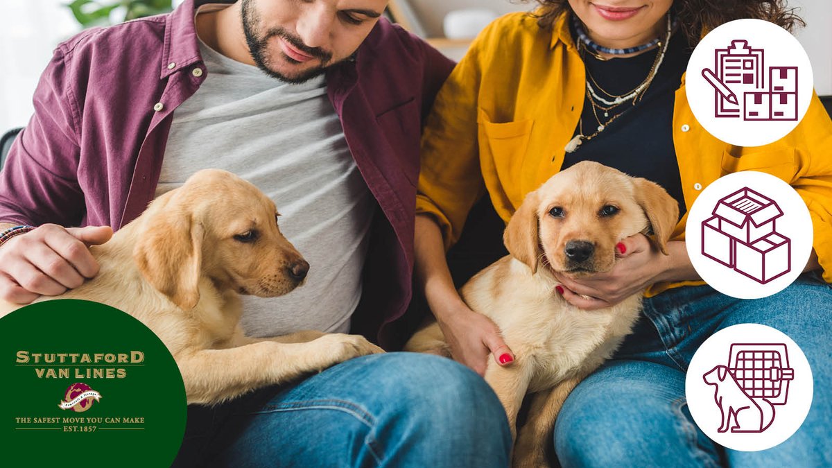 StuttafordVanLn's tweet image. Moving with your furry best friend soon? Let Stuttaford Van Lines handle the move so you can focus on your pet! Contact us for seamless relocation. 
stuttafordvanlines.co.za/contact-us/
#PetMove #MovingTips #StressFreeRelocation