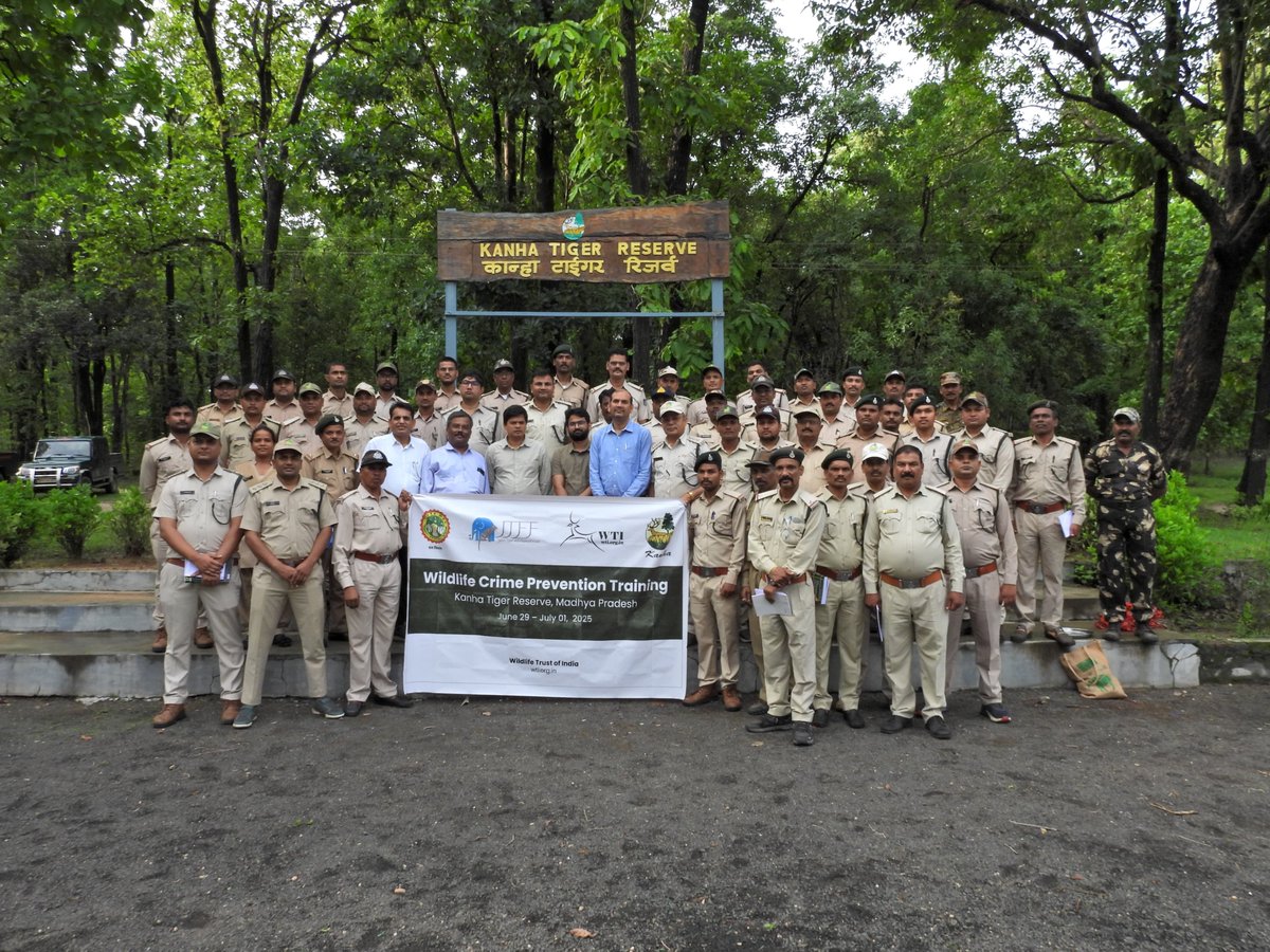 wti_org_india's tweet image. WTI & @minforestmp conducted a 3-day “Wildlife Crime Prevention Training” for 50 frontline staff of Kanha Tiger Reserve (June 29 -July 1)
Supported by Japan Tiger & Elephant Fund (JTEF), the training was led by Adv. Yash Kumar Soni, & WTI team-Dr. RP Mishra & Monesh Singh Tomar.